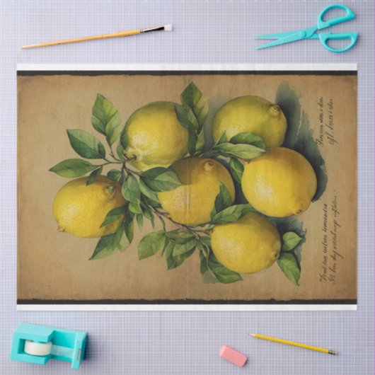 Lemon Fruit Illustration Ephemera No1 Tissuepapier (Craft)