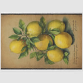 Lemon Fruit Illustration Ephemera No1 Tissuepapier (Voorkant)