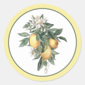 Lemon Fruit Round Classic Sticker (Voorkant)