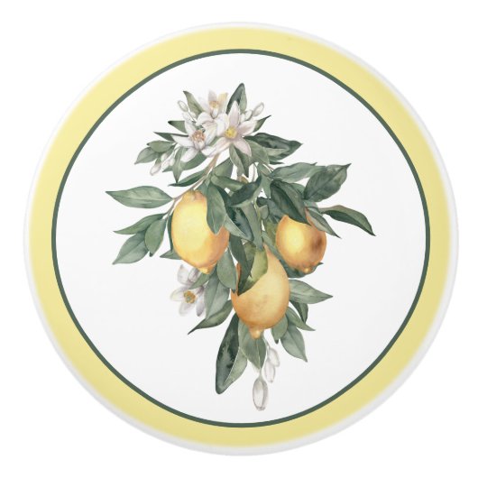Lemon Fruit Round Keramische Knop (Voorkant)