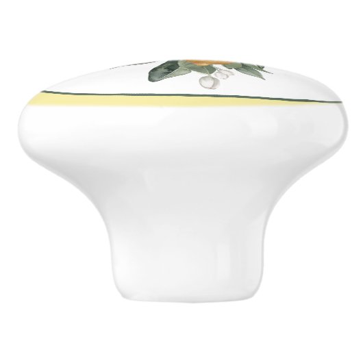 Lemon Fruit Round Keramische Knop (Zijkant)