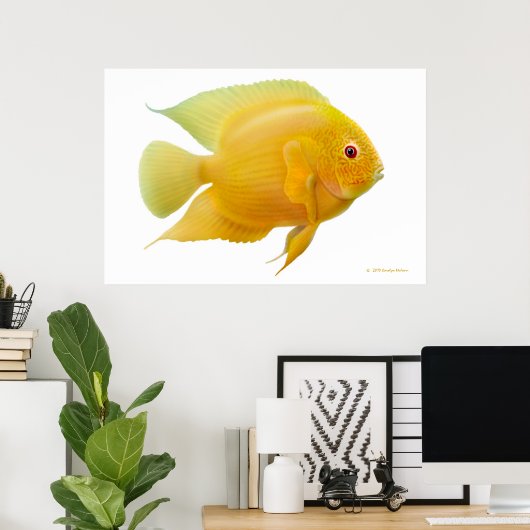 Lemon Gold Severum Cichlid Print (Thuiskantoor)