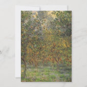 Lemon Grove in Bordighera door Claude Monet (Voorkant)