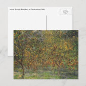 Lemon Grove in Bordighera door Claude Monet Briefkaart (Voorkant / Achterkant)