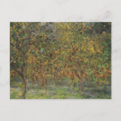 Lemon Grove in Bordighera door Claude Monet Briefkaart (Voorkant)