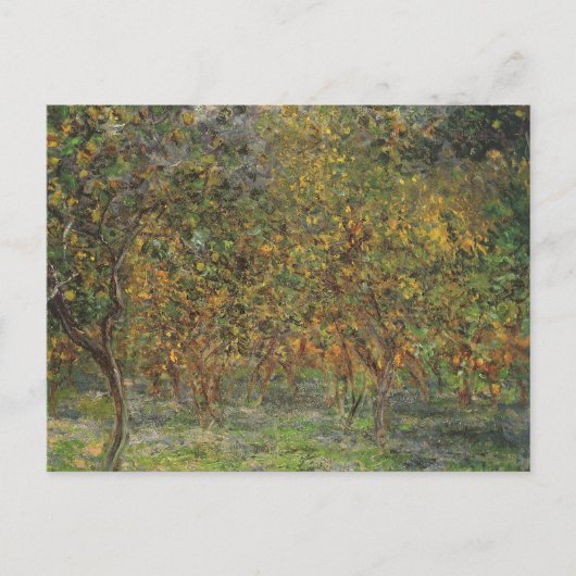 Lemon Grove in Bordighera door Claude Monet Briefkaart (Voorkant)