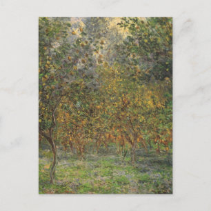 Lemon Grove in Bordighera door Claude Monet Briefkaart