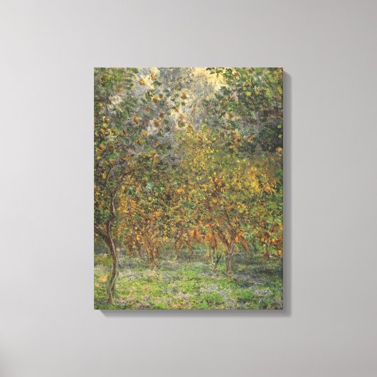 Lemon Grove in Bordighera door Claude Monet Canvas Afdruk (Voorkant)
