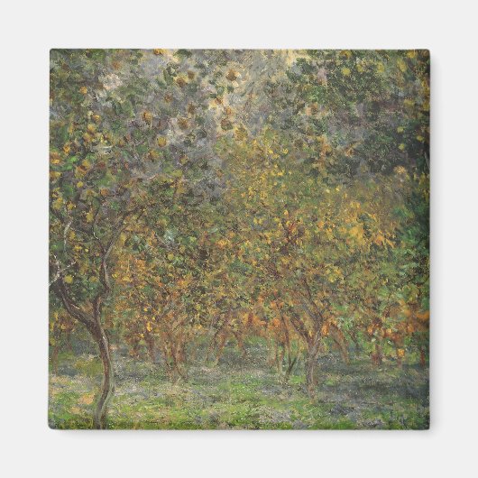 Lemon Grove in Bordighera door Claude Monet Magneet (Voorkant)