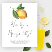 Lemon Hoe groot is mama's buik spel Poster