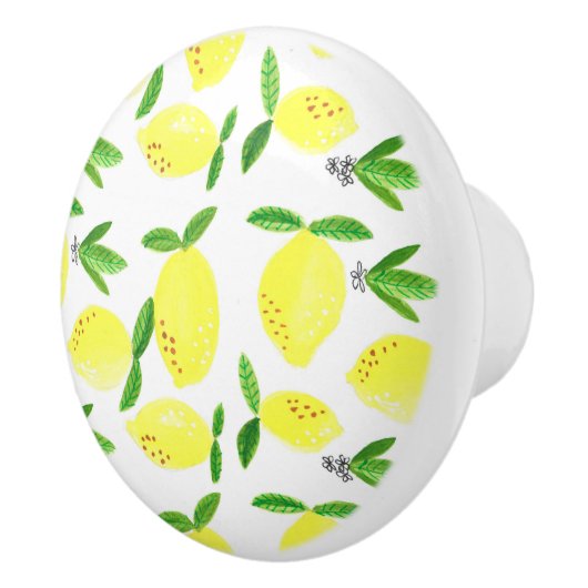 Lemon Home Decor Waterverf Pattern Elegant Keramische Knop (Rechts)