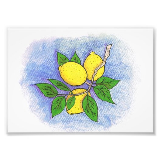Lemon Illustration Photo Print Foto Afdruk (Voorkant)