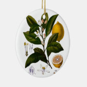 Lemon Keramisch Ornament (Rechts)