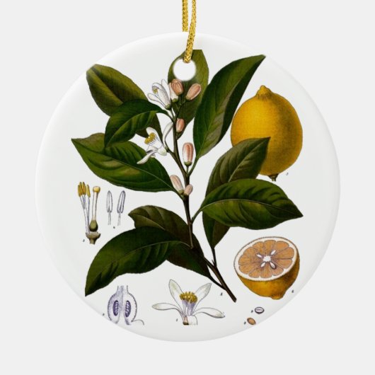 Lemon Keramisch Ornament (Voorkant)