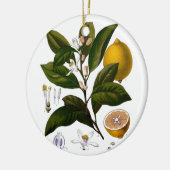 Lemon Keramisch Ornament (Links)