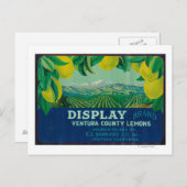 Lemon LabelVentura, CA Briefkaart (Voorkant / Achterkant)