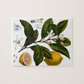 Lemon Legpuzzel (Horizontaal)