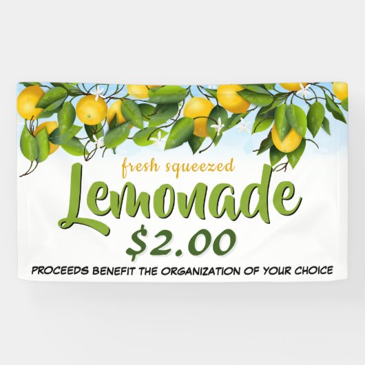 Lemon Lemonade Stand Fundraiser Spandoek (Horizontaal)