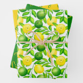 Lemon Limoen Citrus Wrapping Paper Set (In situ)
