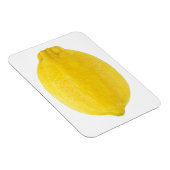 Lemon Magneet (Rechterzijde)