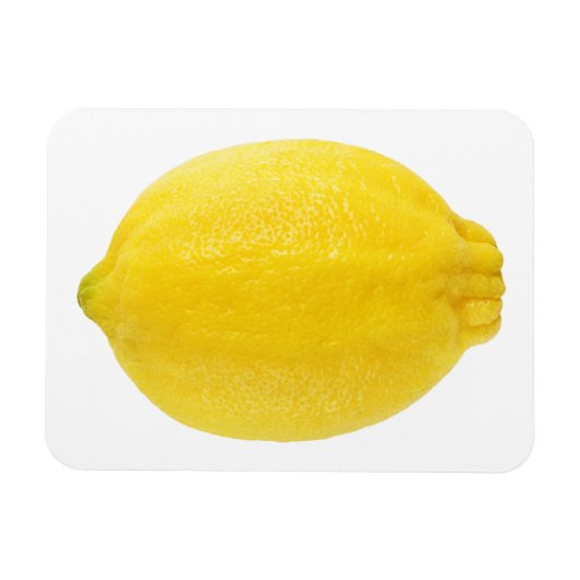 Lemon Magneet (Horizontaal)