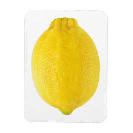 Lemon Magneet