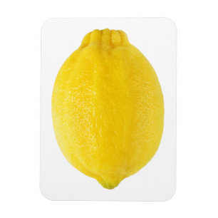Lemon Magneet
