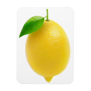 Lemon Magneet