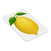 Lemon Magneet (Rechterzijde)