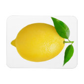 Lemon Magneet (Horizontaal)