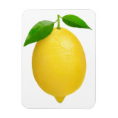 Lemon Magneet (Verticaal)