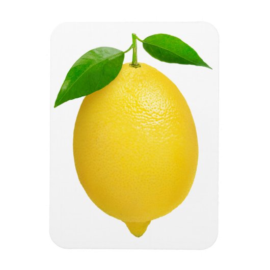 Lemon Magneet (Verticaal)