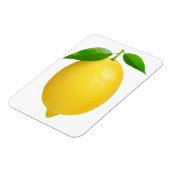 Lemon Magneet (Linkerzijde)