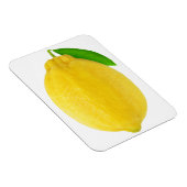 Lemon Magneet (Rechterzijde)