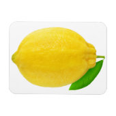 Lemon Magneet (Horizontaal)