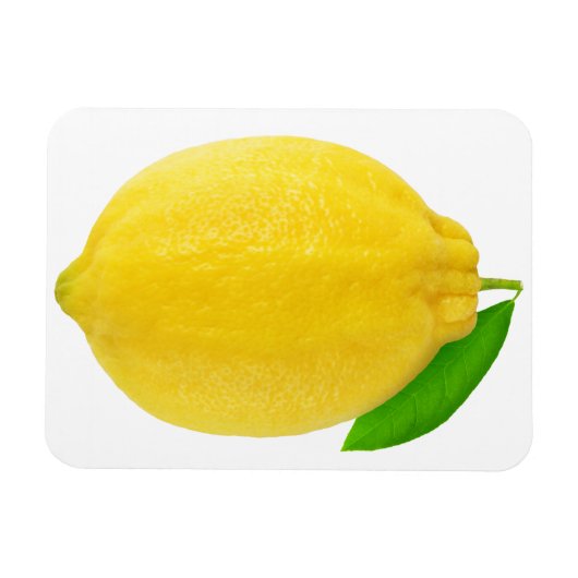 Lemon Magneet (Horizontaal)