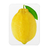 Lemon Magneet (Verticaal)