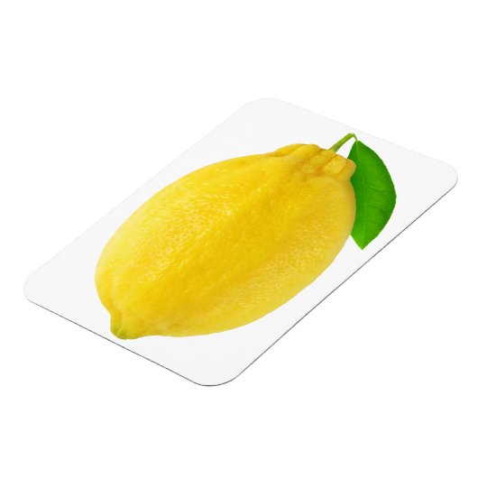 Lemon Magneet (Linkerzijde)