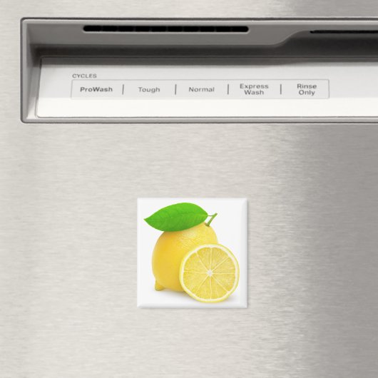 Lemon Magneet (Insitu (Vaatwasser))