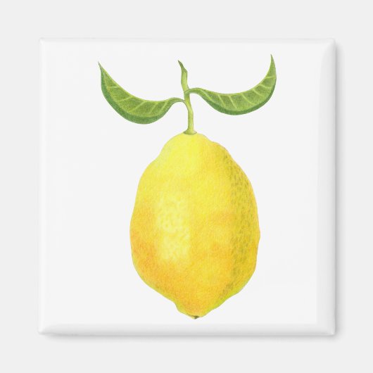 Lemon Magnet (Voorkant)