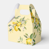 Lemon Main squeeze 1e verjaardagsfeestje Bedankdoosjes (Achterkant)