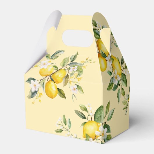 Lemon Main squeeze 1e verjaardagsfeestje Bedankdoosjes (Achterkant)