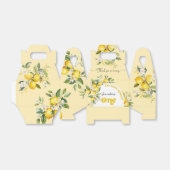 Lemon Main squeeze 1e verjaardagsfeestje Bedankdoosjes (Uitgevouwen)