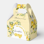 Lemon Main squeeze 1e verjaardagsfeestje Bedankdoosjes (Voorkant Zijde)
