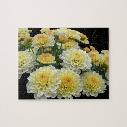 Lemon Meringue Chrysanthemums Legpuzzel (Horizontaal)