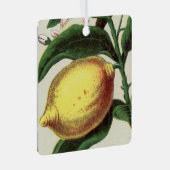 Lemon Metalen Ornament (Voorkant Rechts)