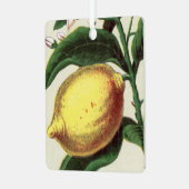 Lemon Metalen Ornament (Voorkant links)