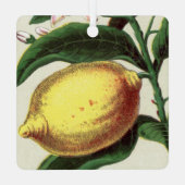 Lemon Metalen Ornament (Achterkant)
