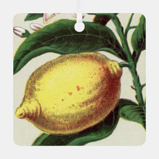 Lemon Metalen Ornament (Voorkant)
