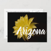 Lemon Pie Cactus Flower Delight, Arizona Briefkaart (Voorkant / Achterkant)